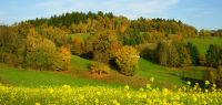 58 strukturierte landschaft bei hoermannsberg - hh